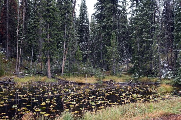 Isa Lake, which sits right on the Continental Divide, and which drains to both the Atlantic and Pacific