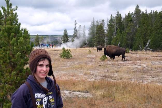 Practicing safe bison selfies