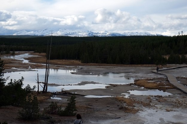 Norris Geyser Field