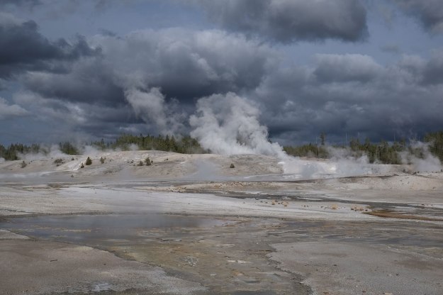 Norris Geyser Field