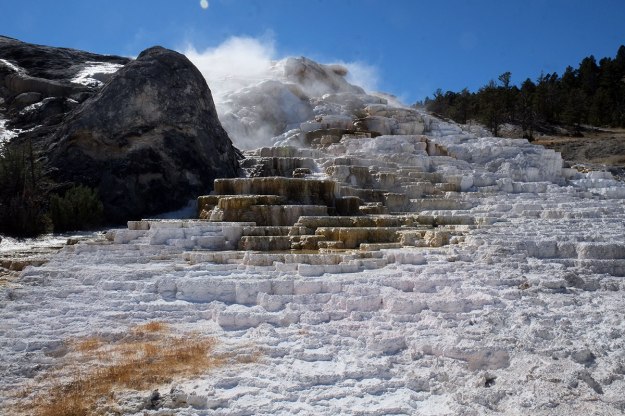 Mammoth Hot Springs