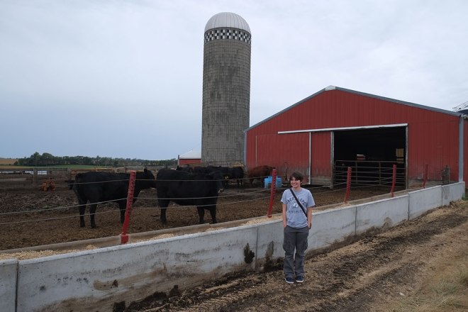 Greta discivers her bovine relations