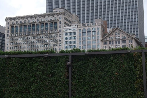 I'm assuming that's boxwood.