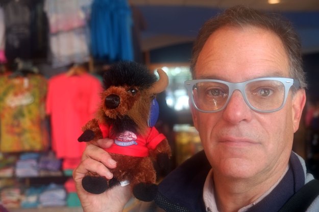 the stuffed animal Safe Bison-Selfie™