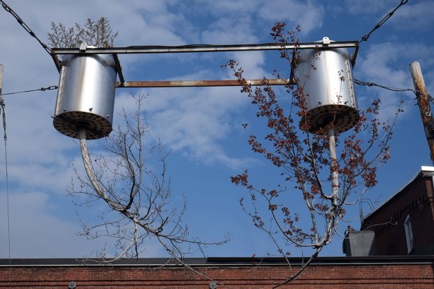 growing tress and then turning them outside down. Apparently this is controversial with members of PETT.