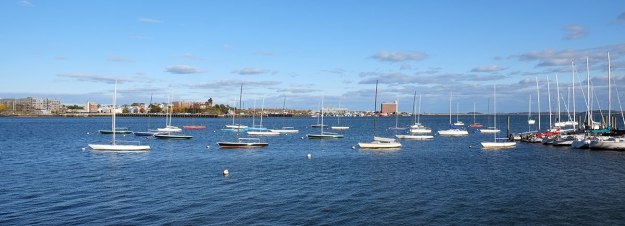 Boston's unwillingness to discard the old was very evident at the Boston Sailing Center. Even though they had added some new boats, it appears that all the Solings I sailed when I belonged in 1979 are still there