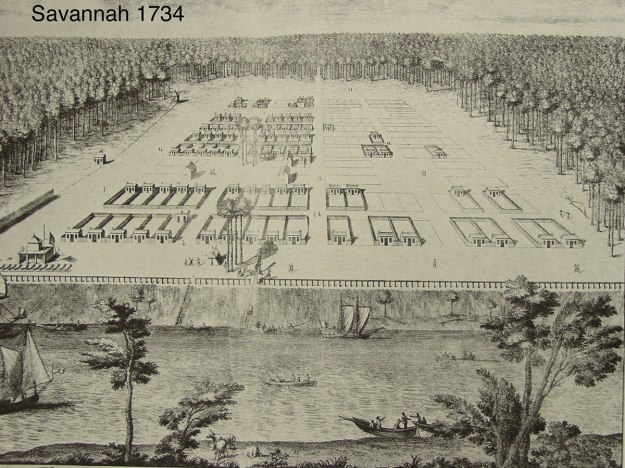 Savannah-1734