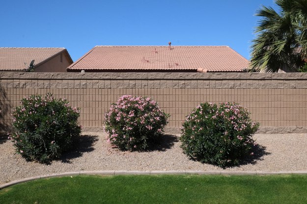 80. Phoenix048DSCF6595