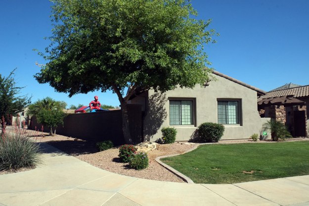 80. Phoenix049DSCF6600