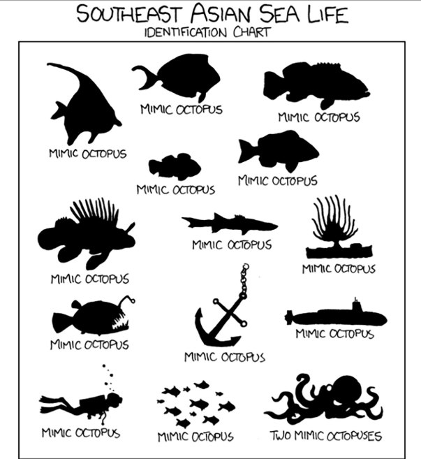 Screen-Shot-2016-05-14-at-9.35.50-AM