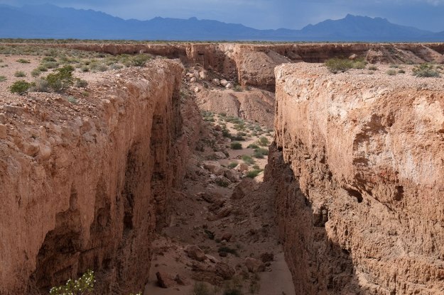 103. Double Negative050DSCF0527