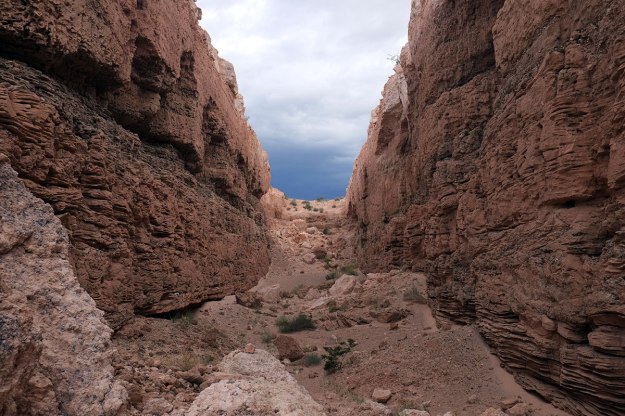 103. Double Negative053DSCF0563