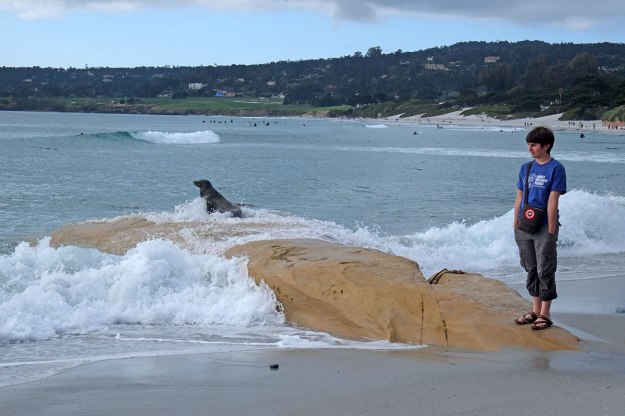 108. Carmel003DSCF0802