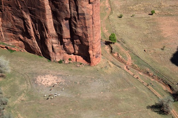 95. Tsegi175DSCF8679