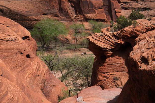 95. Tsegi181DSCF8770