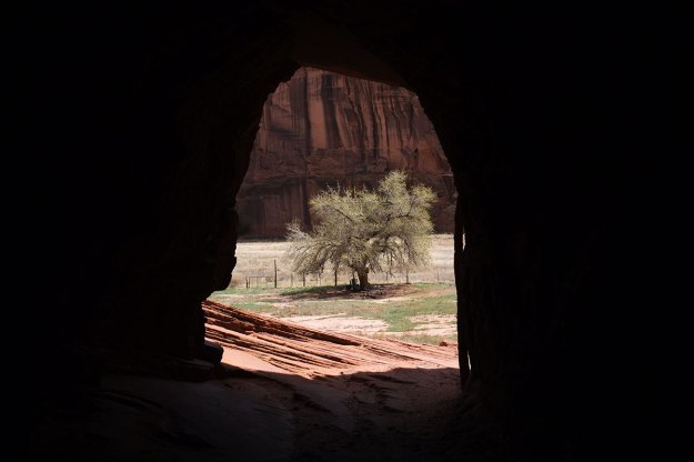 95. Tsegi183DSCF8779