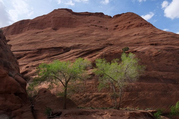 95. Tsegi188DSCF8853