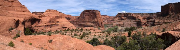 DSCF8767WhiteHouseTrail012