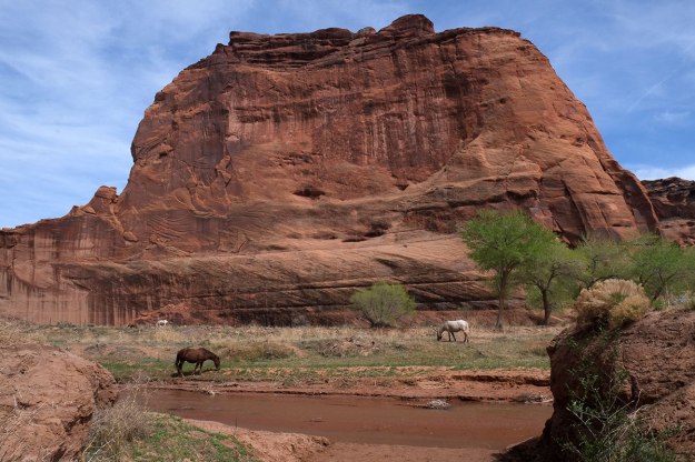 DSCF8789WhiteHouseTrail031