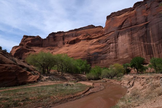 DSCF8794WhiteHouseTrail035