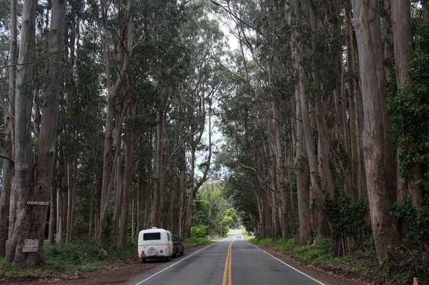 115-north-coast011dscf1831