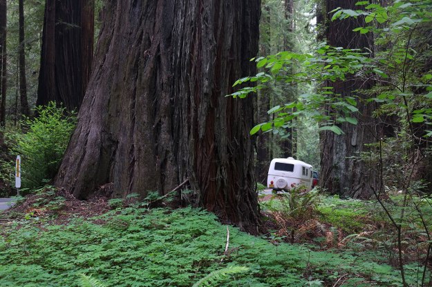 115. North Coast012DSCF1843